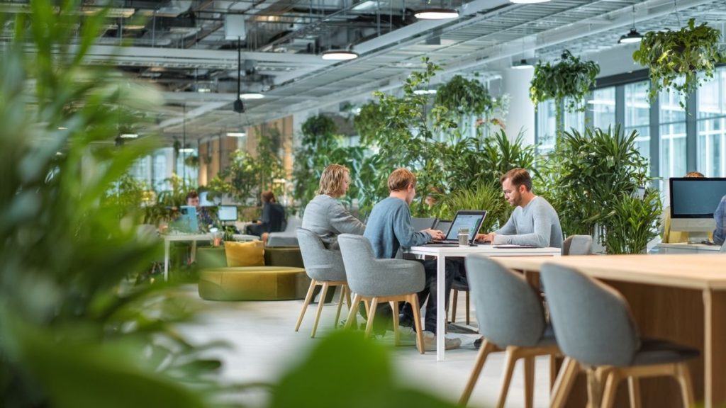 Comment le management technologique influence la culture d’entreprise